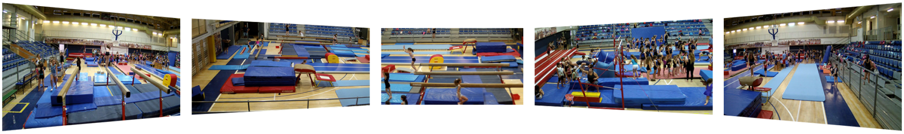 Gymnastic gymnastics https://playsight.com